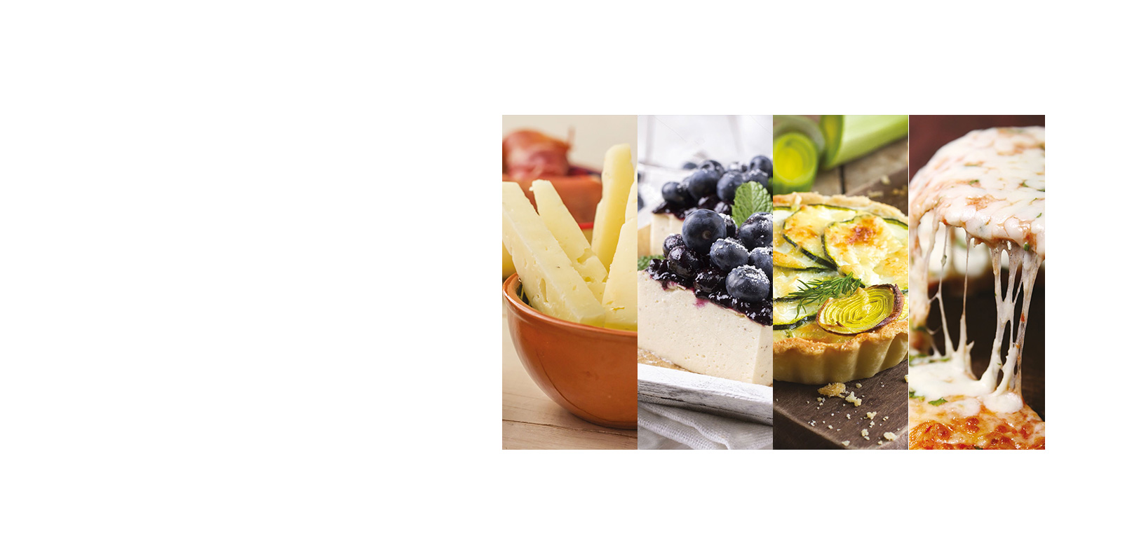 Productos Lattaia